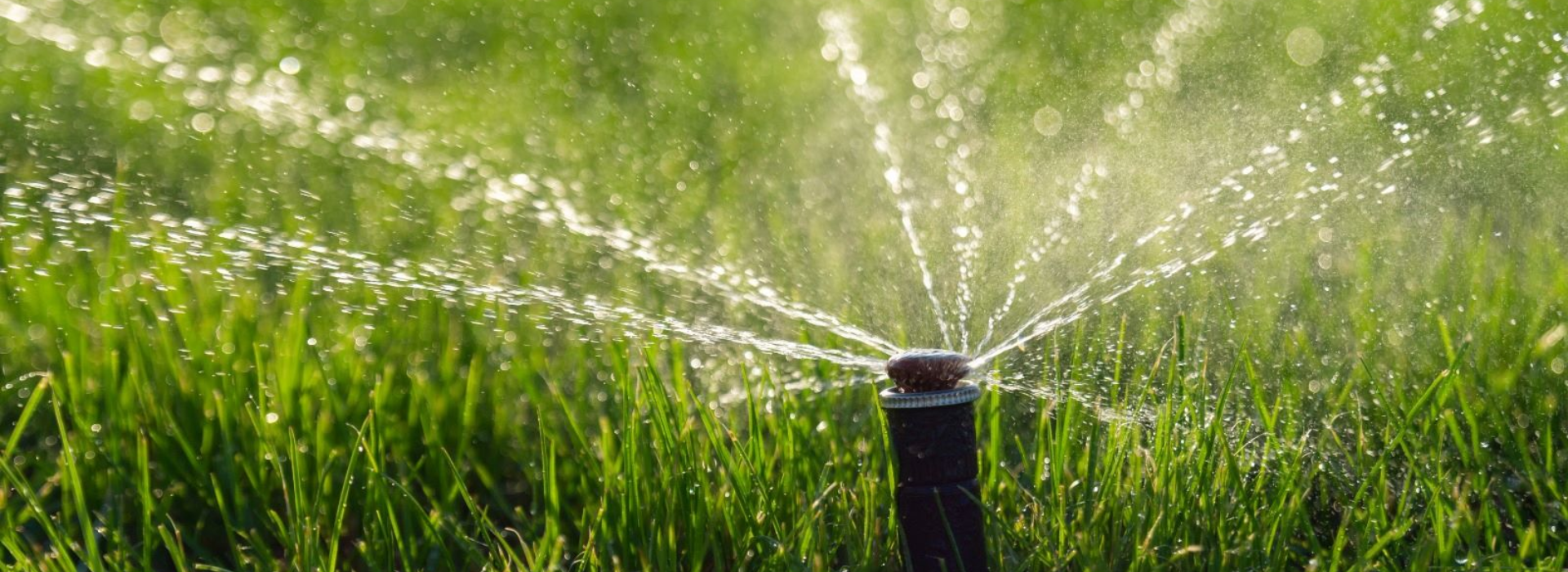 Irrigation System in Dubai