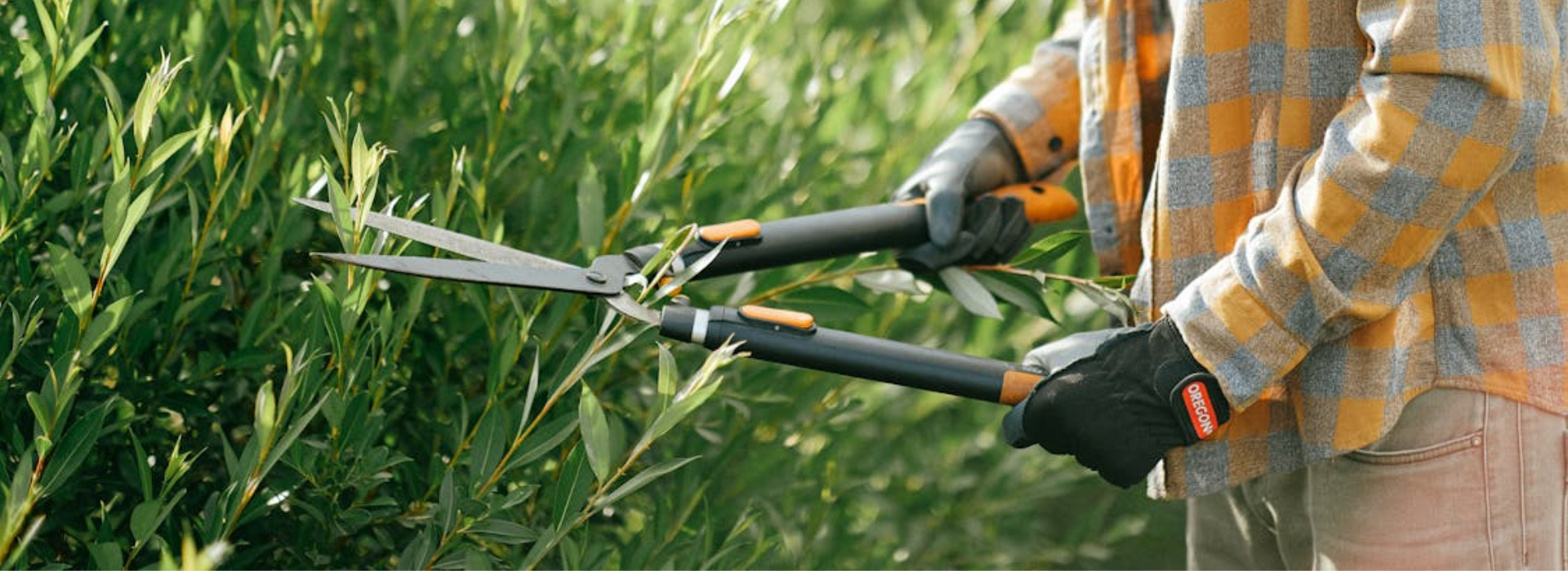 Garden Maintenance in dubai