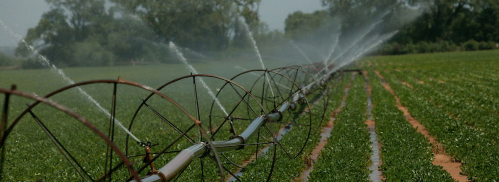 Irrigation System in Dubai