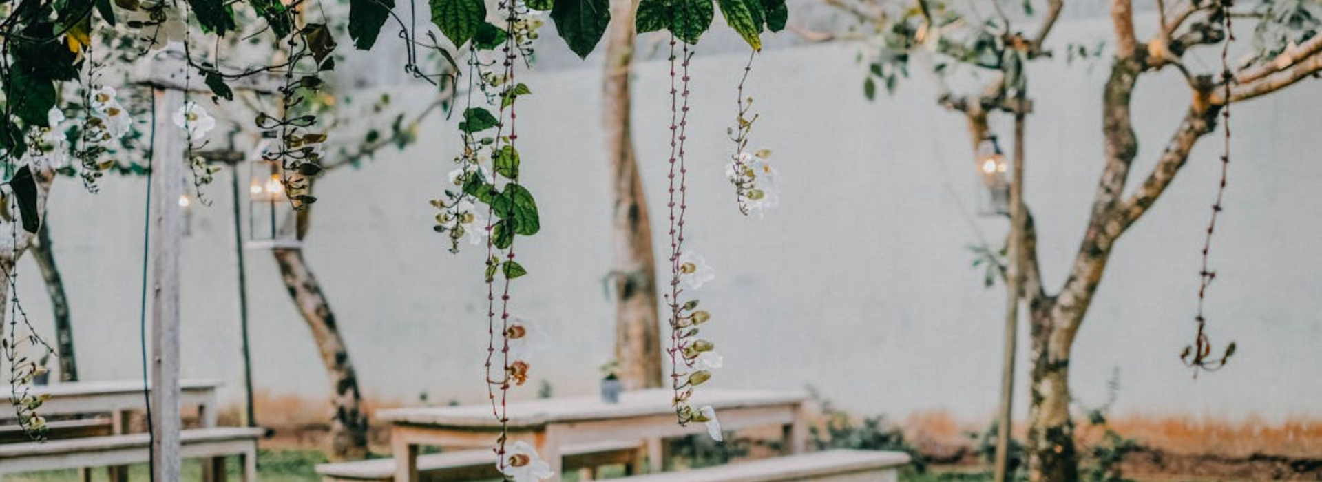 Garden Maintenance in dubai