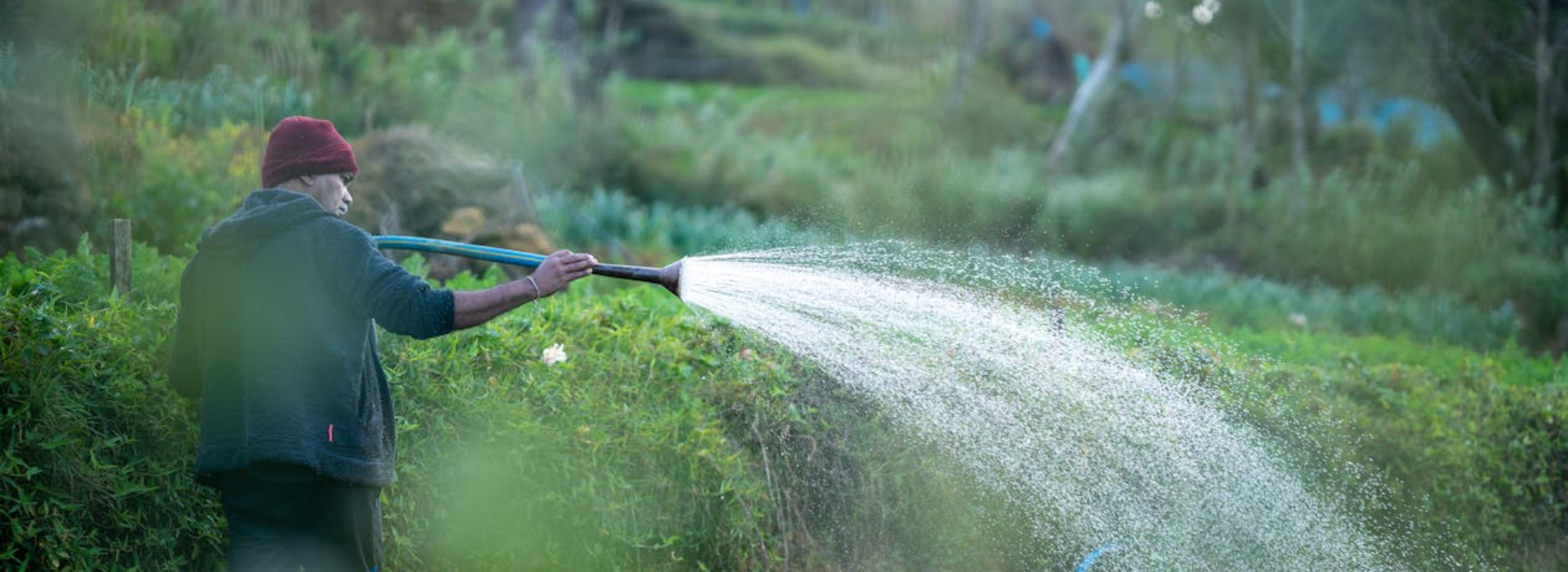 Garden Maintenance in dubai