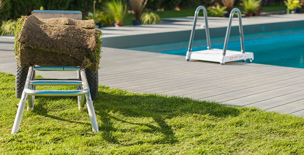 Lawn Care & Maintenance Service in Dubai