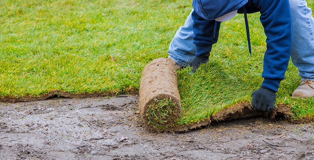 Natural Grass Installation